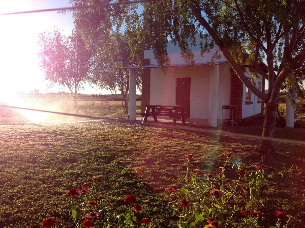 Ditsem Guest Farm Upington Exterior photo