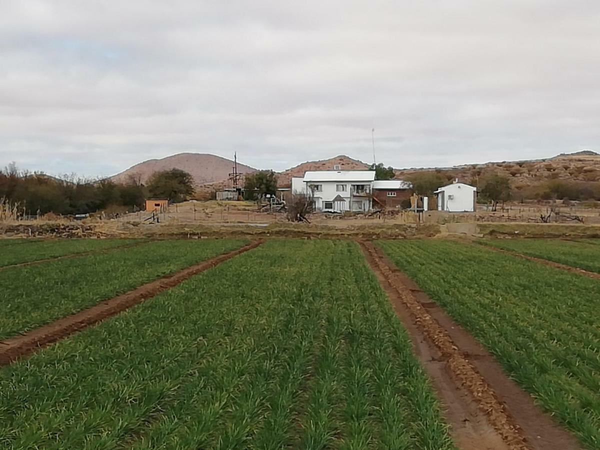 Ditsem Guest Farm Upington Exterior photo